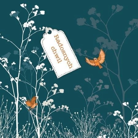 Clear Creation Swarovski square card CL3402