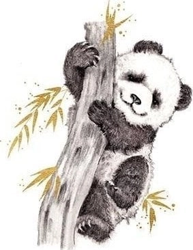 Karnet złocony kwadrat CL3816_BL Panda 5060481570237