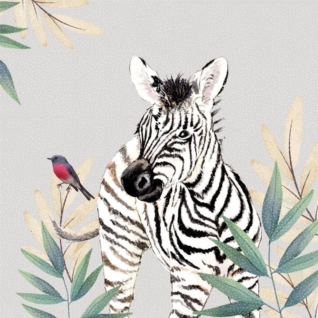 Swarovski square CL4711 Zebra card 5060481577526