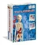 Clementoni Mini human body 50515  CLM