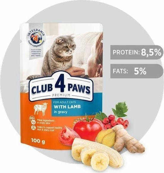 Club 4 Paws CLUB4Ł KOT 100