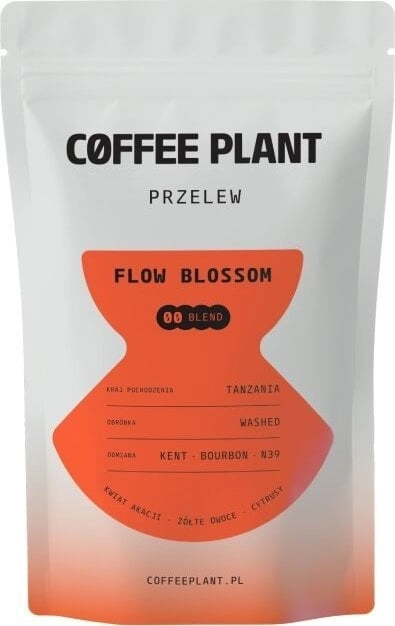 Coffee Plant FLOW Blossom coffee beans