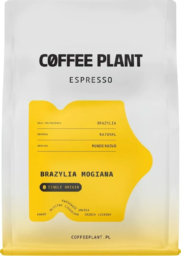 Coffee Plant Espresso Brazil Mogiana beans