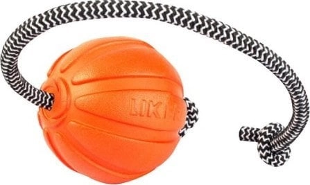 Collar Ball on a string for