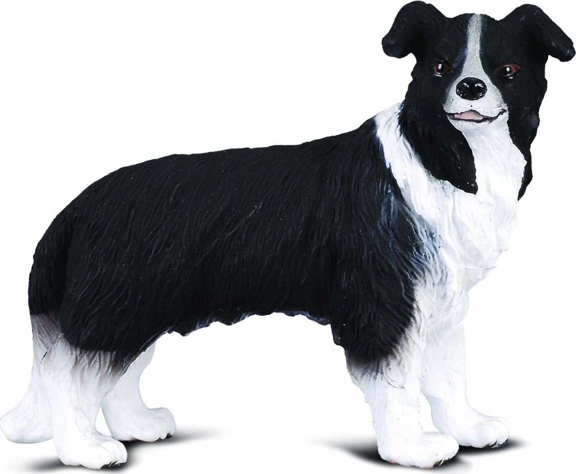 Figurka Collecta PIES BORDER COLLIE (M)
