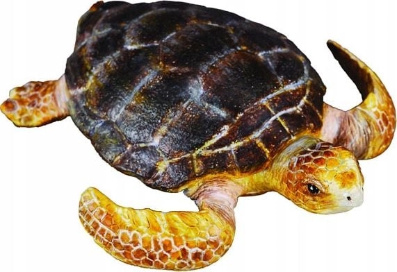 Figurine Collecta LOGGER TORTOISE (M) 004-88094