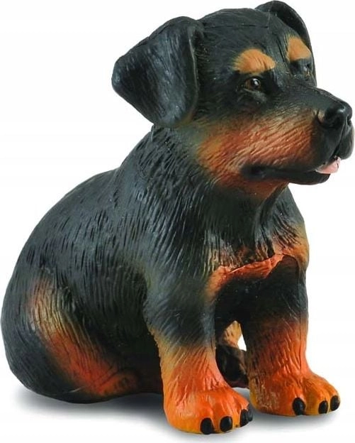 ROTTWEILER DOG PUPPY (S) 004-88190 4892900881904