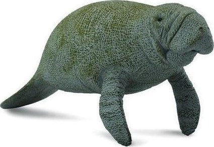 Figurka Collecta SŁOŃ MORSKI 004-88455 4892900884554
