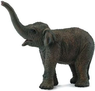 YOUNG ASIAN ELEPHANT (S) 004-88487 4892900884875