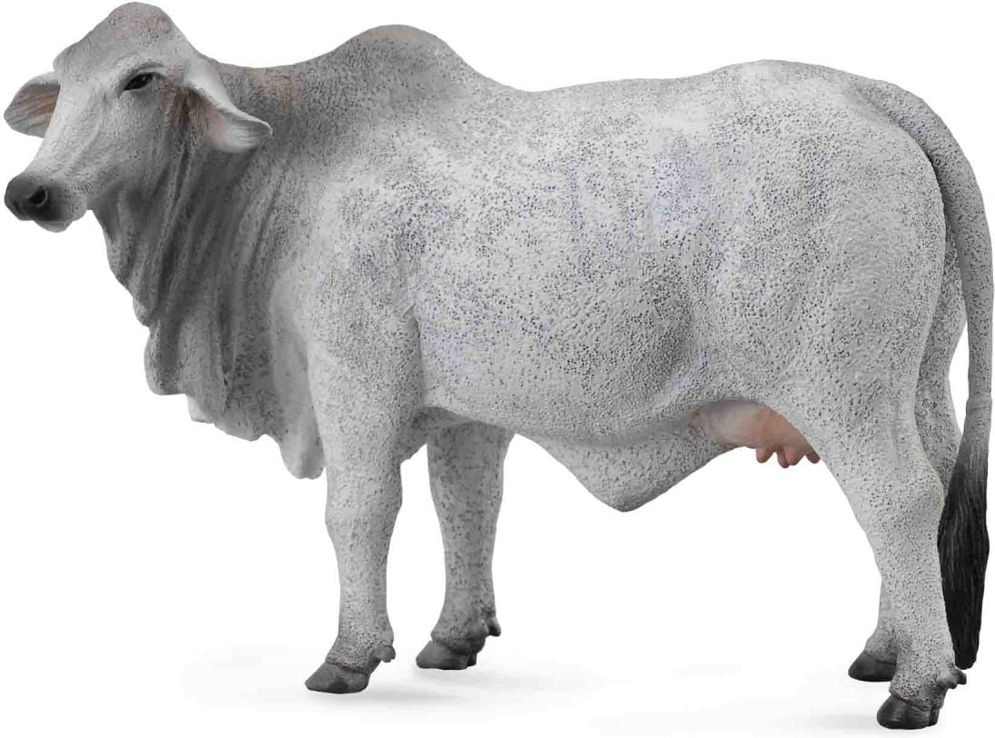 Collecta Braham Cow Figurine (004-88580) 004-88580