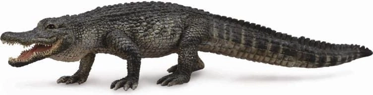 Figurka Collecta American Alligator (004-88609) 004-88609