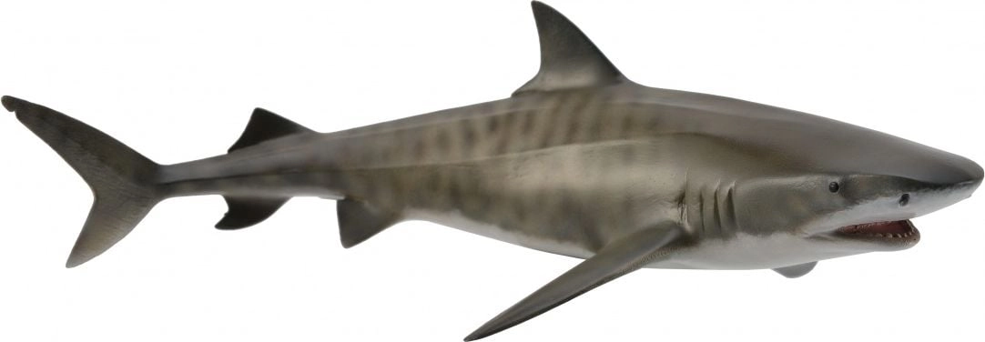 TIGER SHARK (L) 004-88661 4892900886619