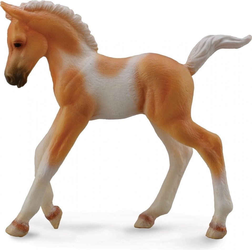 Figurine Collecta Foal Pinto Foal Walking