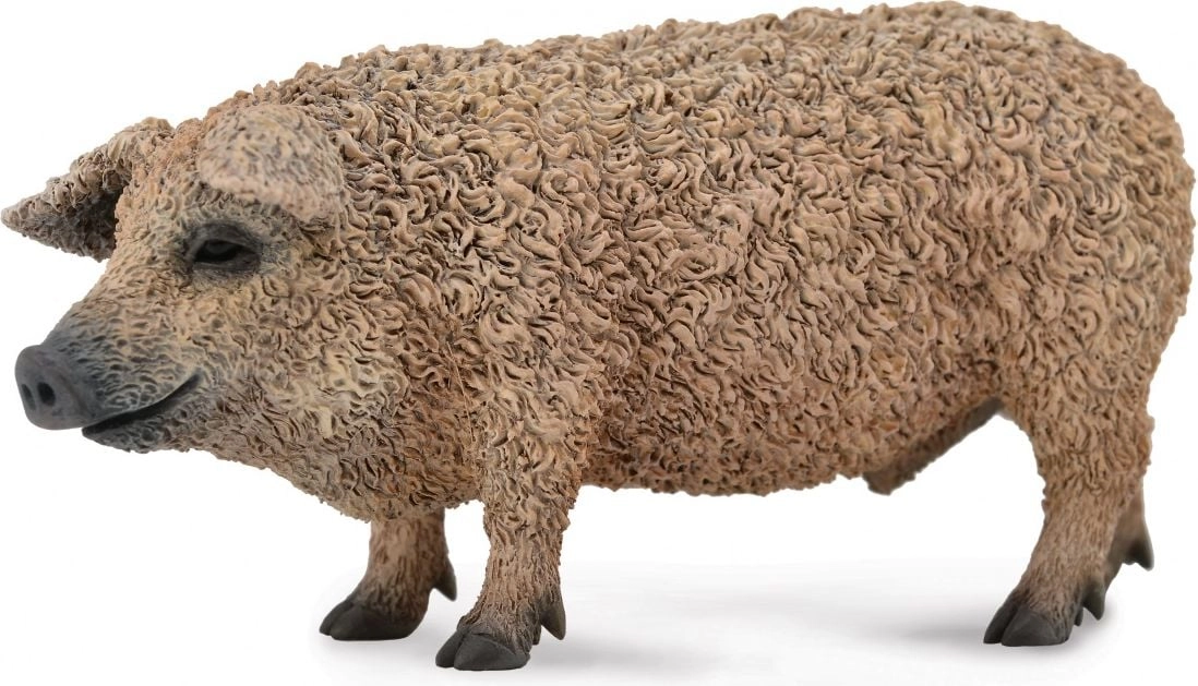 Collecta Pig Mangalica Figurine (004-88674) 004-88674