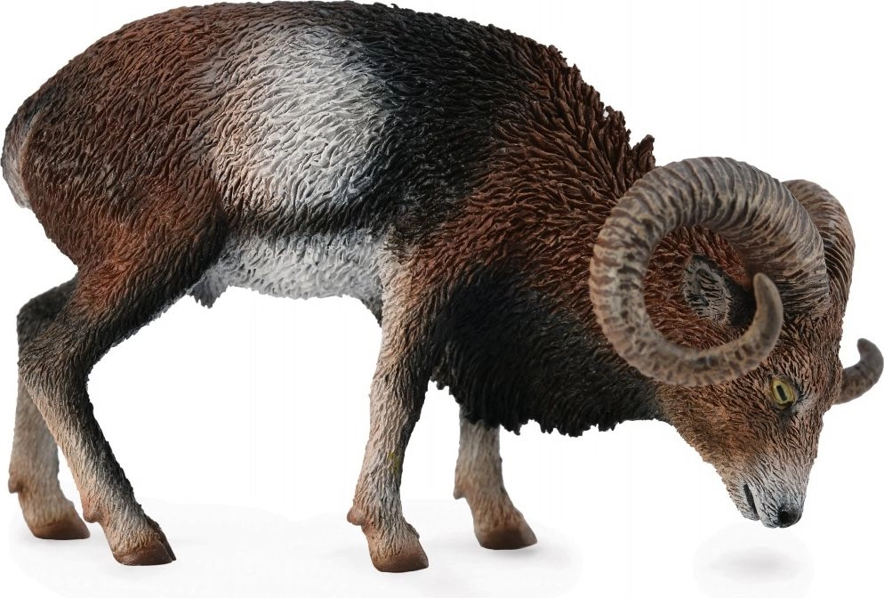 Collecta Figurine - European mouflon 004-88682