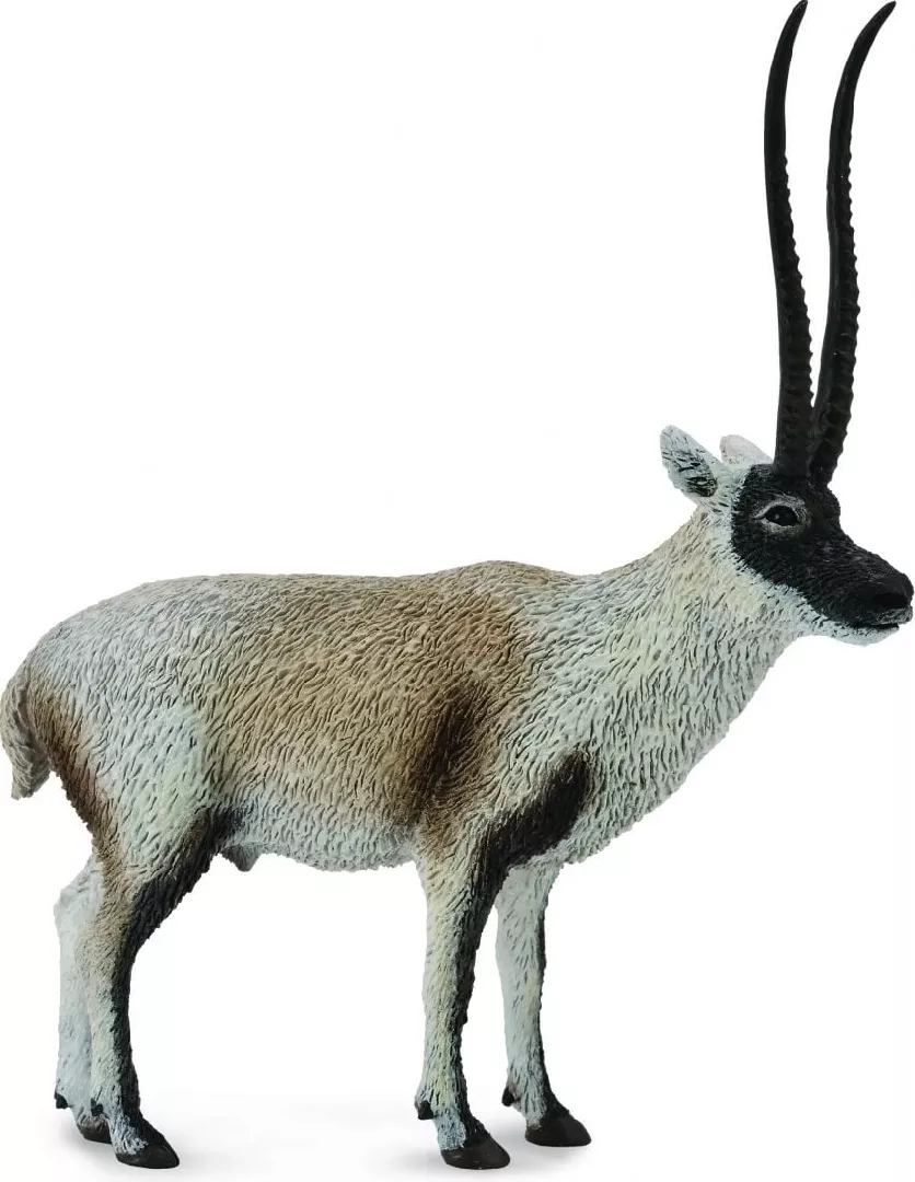 Figurine Collecta Cziru - Tibetan Antelope