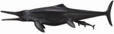 Figurka Collecta Dinozaur Temnodontozaur 004-88724 4892900887241