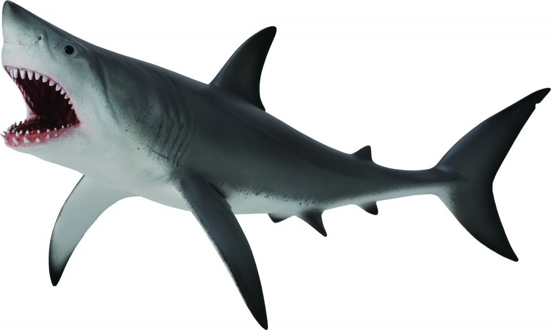 GREAT WHITE SHARK - OPEN JAWS