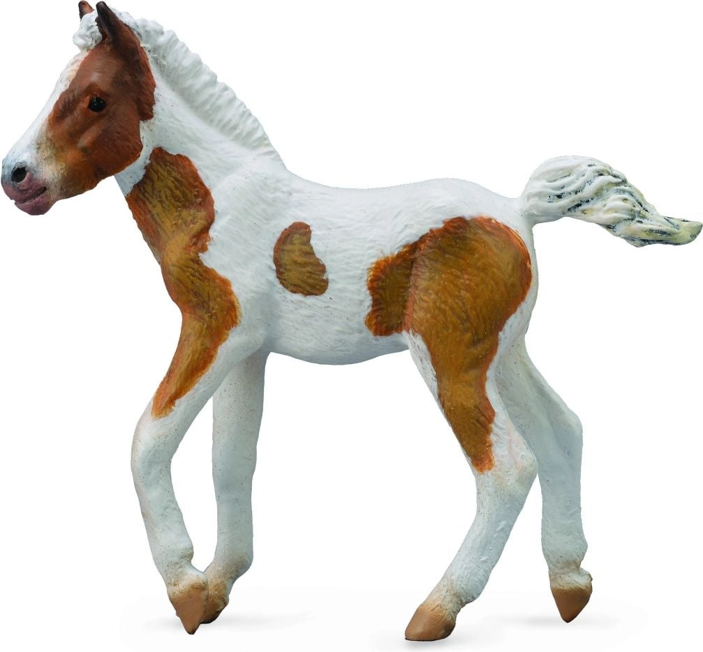 Collecta Figurine Dartmoor Hill Foal (004-88735)