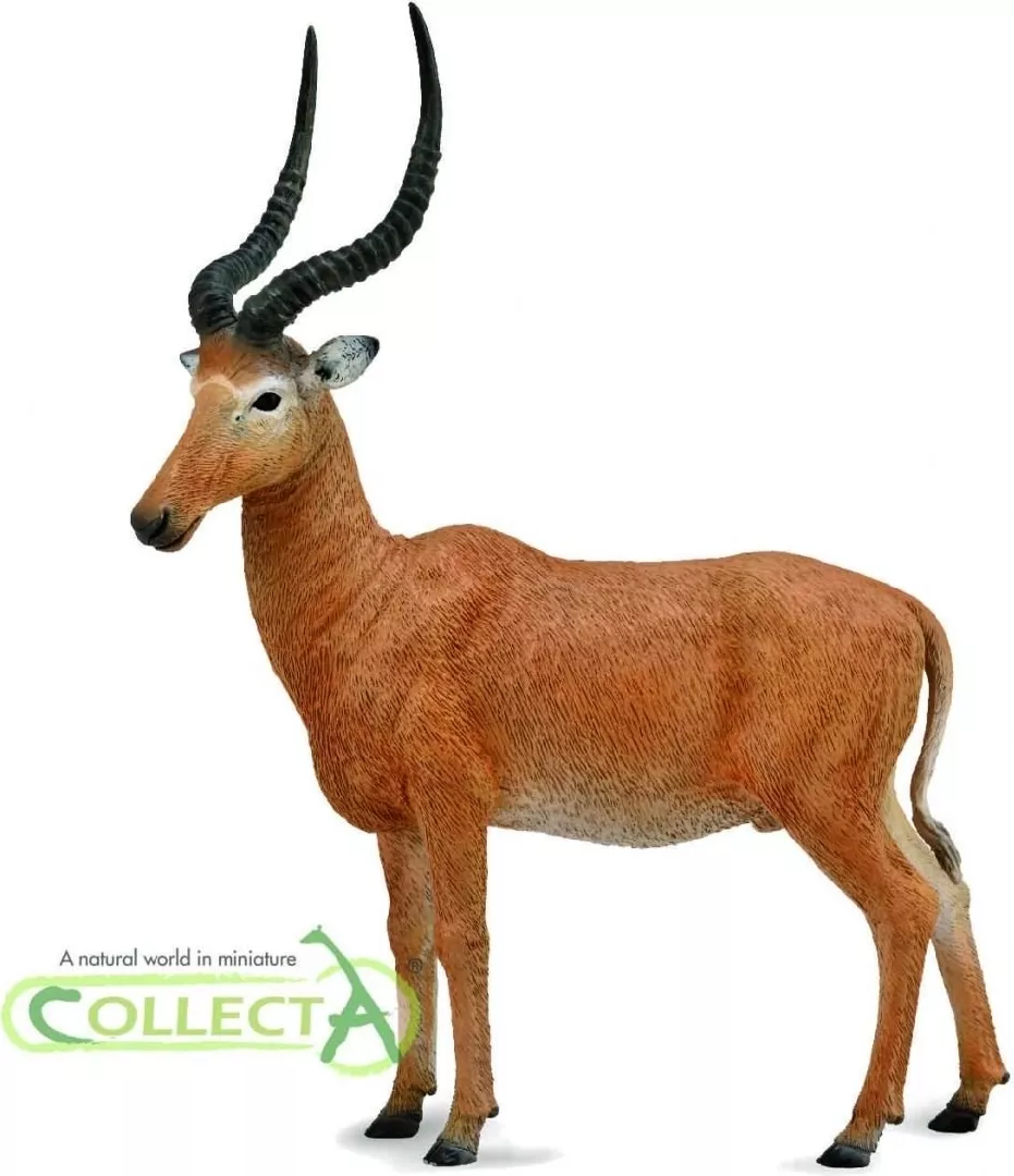 Figurka Collecta Figurka - Hirola (004-88757)
