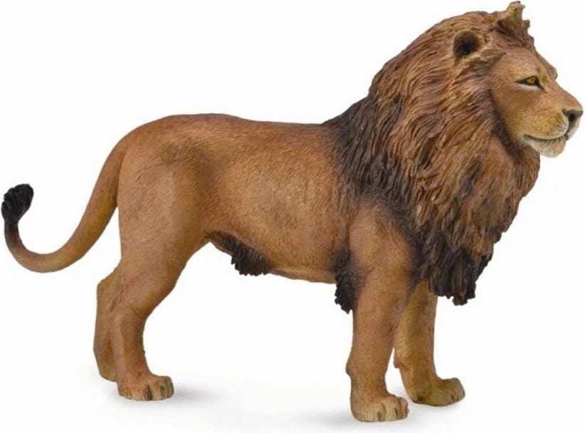 Collecta Figurine African lion (L) 004-88782