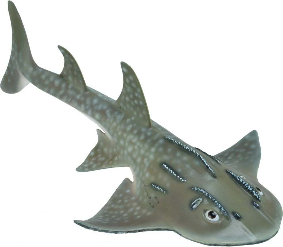 BOWMOUTH GUITARFISH (L) 004-88804 4892900888040