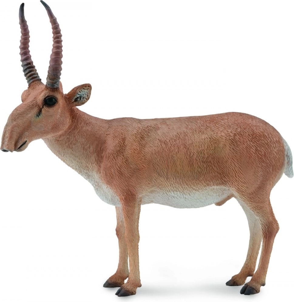 Figurka Collecta Suhak stepowy (004-88808) 004-88808