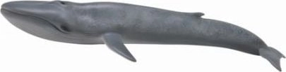 Collecta Figūrėlė Mėlynasis banginis (XL) 004-88834