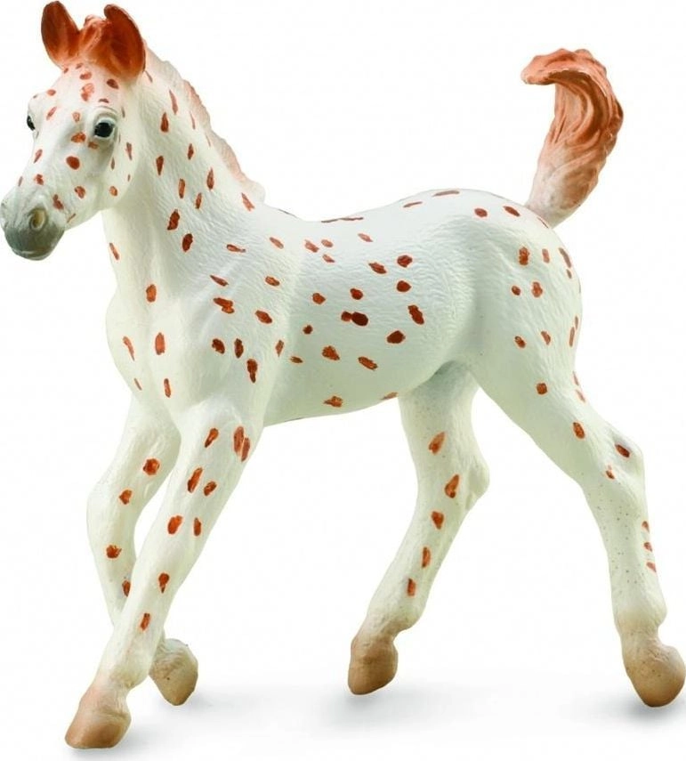 Figurka Collecta KOŃ KNABSTRUPPER FOAL 004-88848