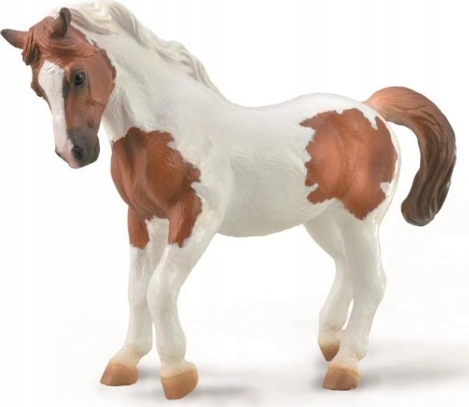 Figurka Collecta COLLECTA CHINCOTEAGUE PONY MAŚCI