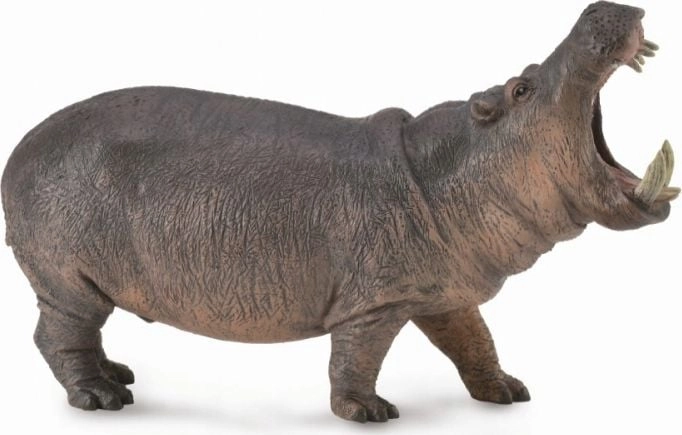 Figurka Collecta Figurka HIPOPOTAM - Hippopotamus