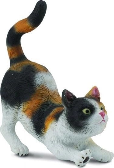 DOMESTIC CAT STRAGING THREE-COLORED (S) 449059