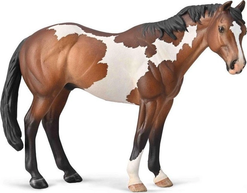 Figurka Collecta Appaloosa ogier 490694 4892900889566