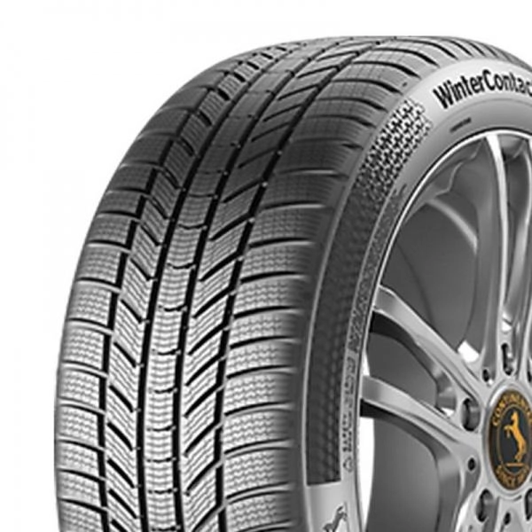 Continental Padangos WinterContact TS 870P 116
