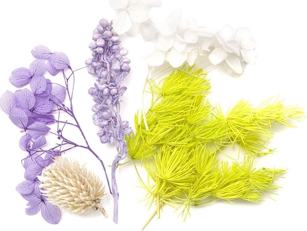 Dried decorative lilac white flowers (