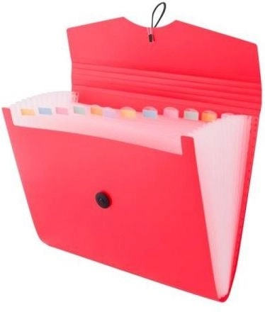 D.Rect Folder A4  12 compartments
