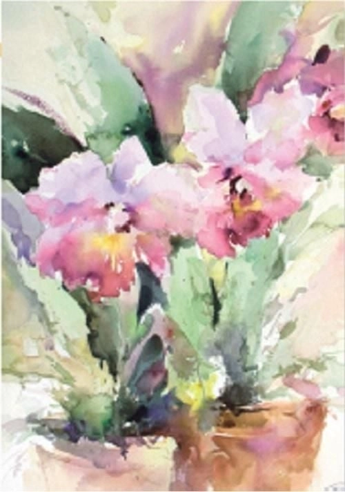 DaVinci Pass 12x18 cm B-BJ 202