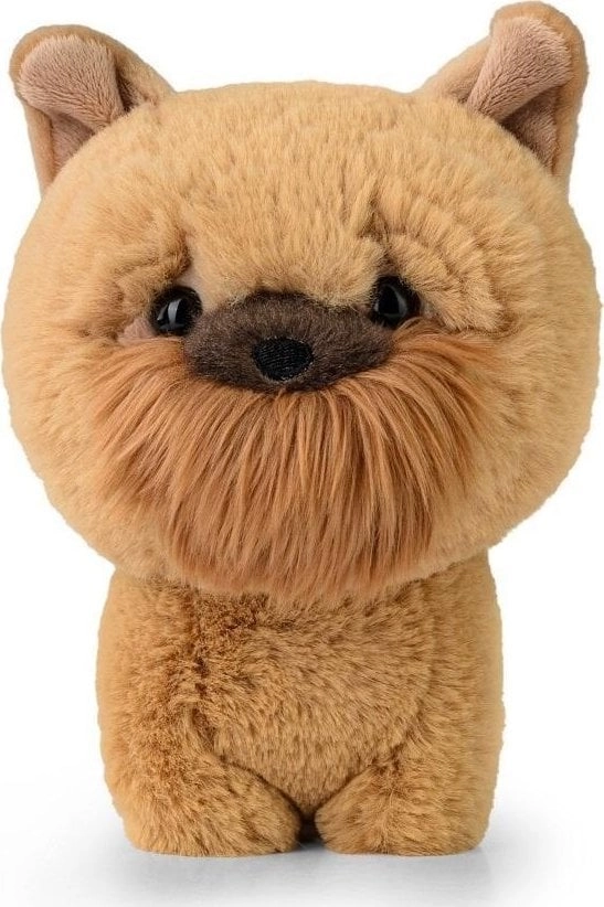 Teddy Pets Griffon bruxellois mascot T-016