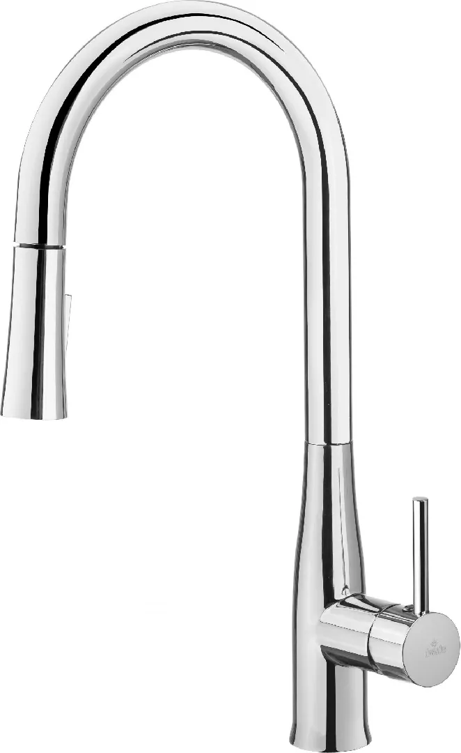 Kitchen faucet with pull-out spout -