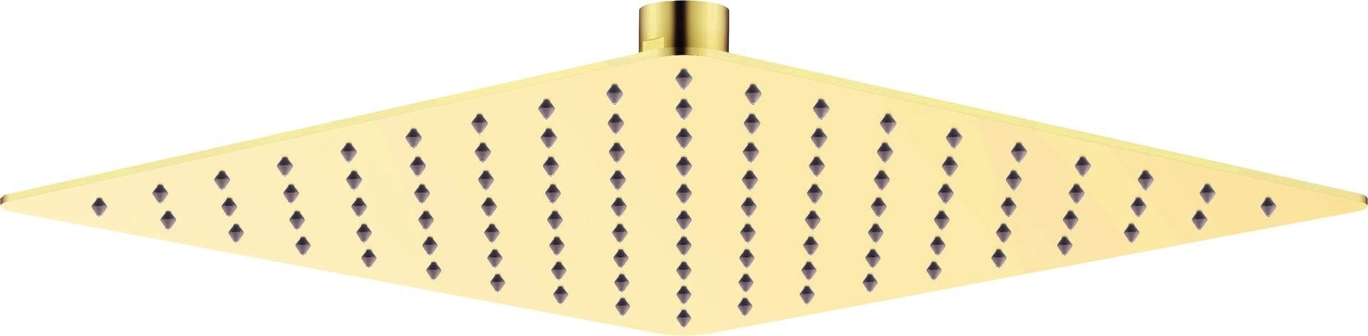 Deante Steel shower head - 250x250