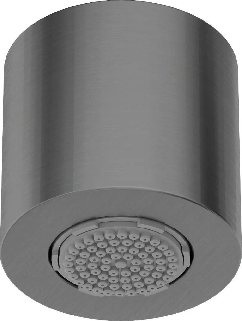 Deante 1-function shower head NQS D30K