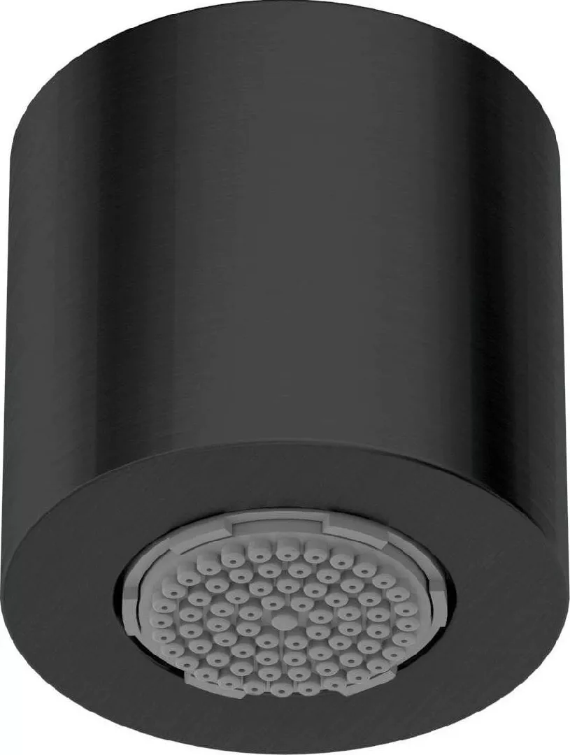 Deante 1-function shower head NQS N30K