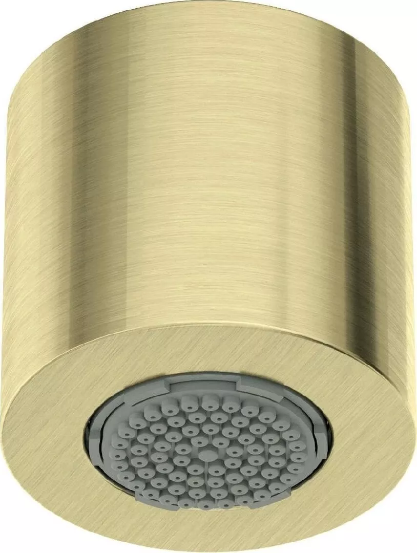 Deante 1-function shower head NQS_R30K