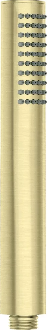 Deante shower head 1-function shower head