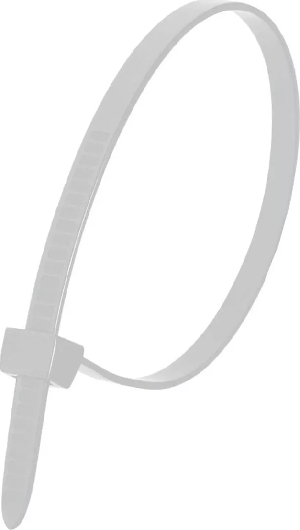 Dedra Nylon cable ties white 7