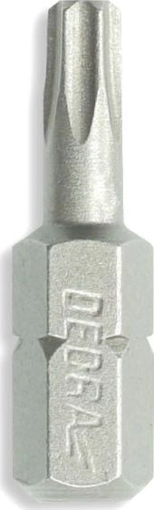 Dedra Końcówki wkrętakowe Torx T40x25mm 10szt