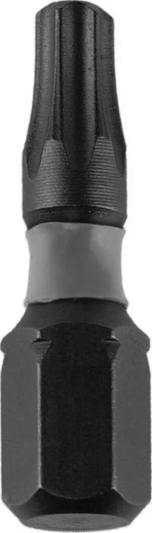 Dedra Końcówki wkrętakowe udarowe Torx T40x25mm