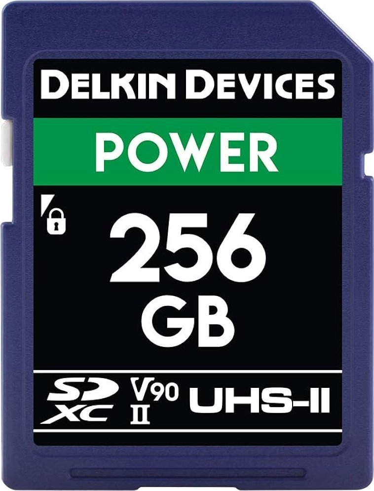 Karta Delkin Power 2000x SDXC 256