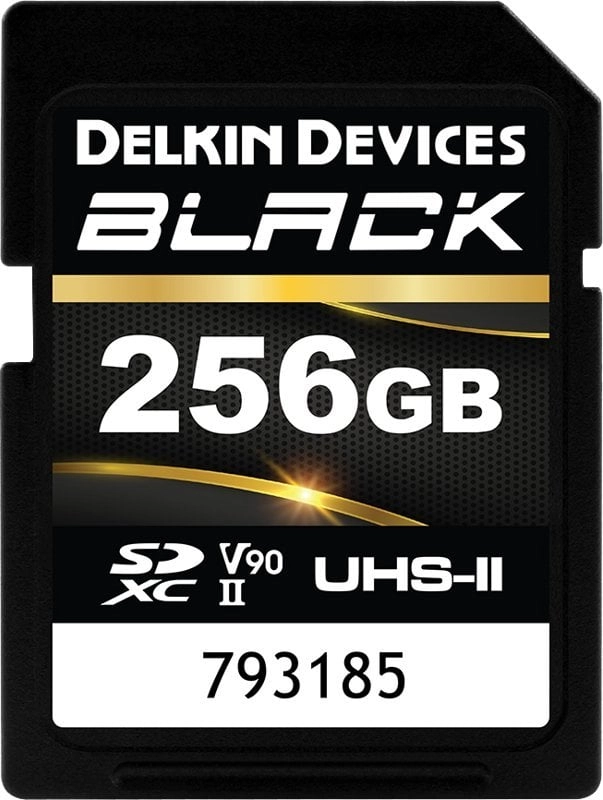 Karta Delkin Black Rugged SDXC 256