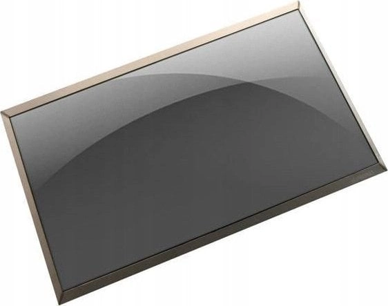 Dell LCD  Non Touch Screen  14